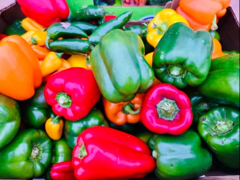 Picked a peck of peppers